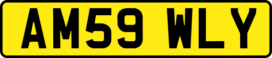 AM59WLY