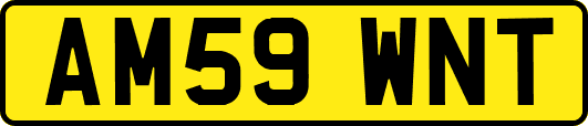 AM59WNT