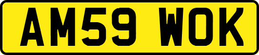 AM59WOK