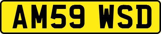 AM59WSD