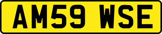 AM59WSE