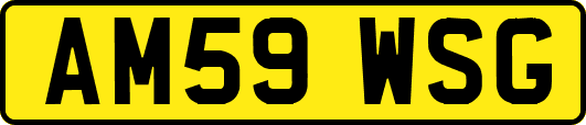 AM59WSG