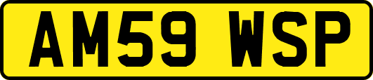 AM59WSP