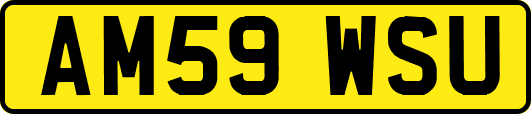 AM59WSU