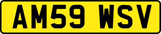 AM59WSV