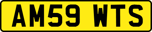 AM59WTS