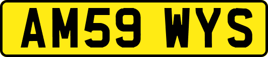 AM59WYS