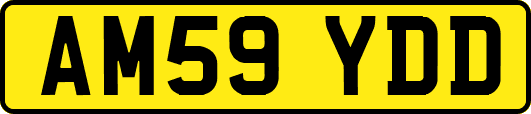 AM59YDD