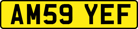 AM59YEF