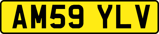 AM59YLV