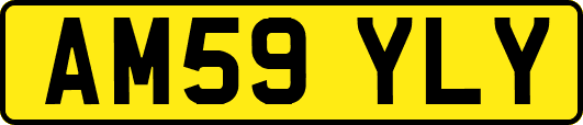 AM59YLY