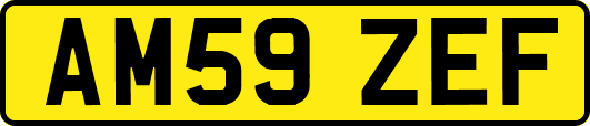 AM59ZEF