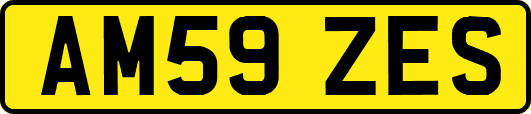 AM59ZES