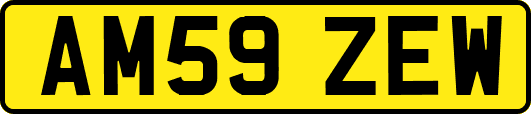 AM59ZEW