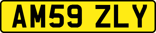 AM59ZLY