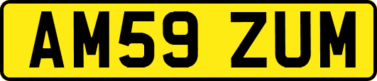 AM59ZUM