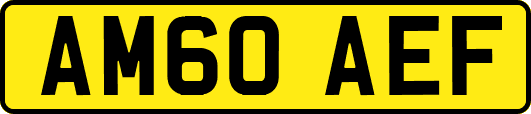 AM60AEF