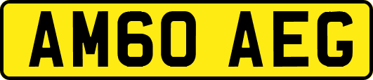 AM60AEG