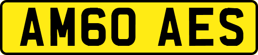 AM60AES
