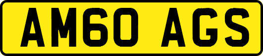 AM60AGS