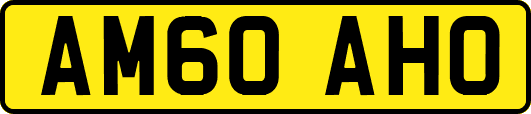AM60AHO