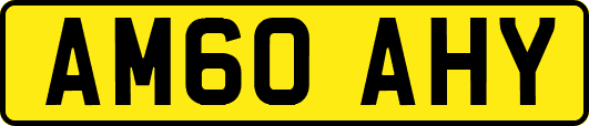 AM60AHY
