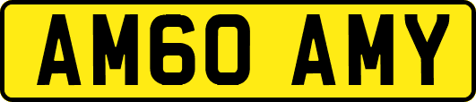 AM60AMY