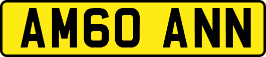AM60ANN