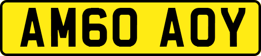 AM60AOY
