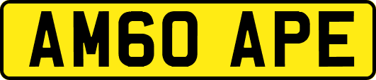 AM60APE