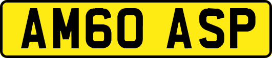 AM60ASP