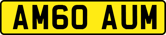 AM60AUM