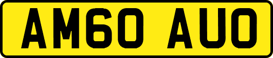 AM60AUO