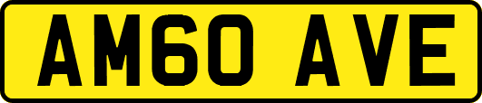 AM60AVE