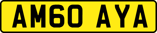 AM60AYA