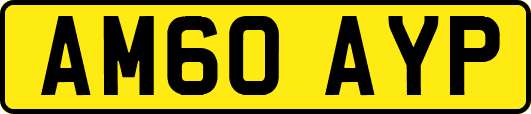 AM60AYP