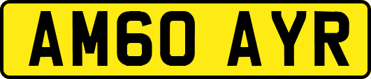 AM60AYR