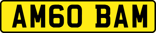 AM60BAM