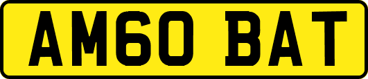 AM60BAT