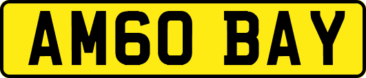 AM60BAY