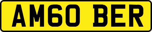 AM60BER