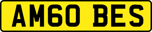 AM60BES