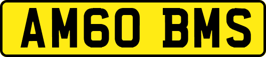 AM60BMS