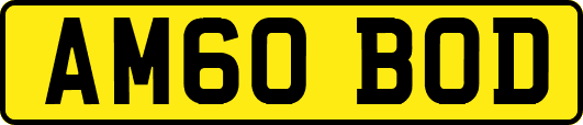 AM60BOD
