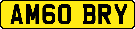 AM60BRY