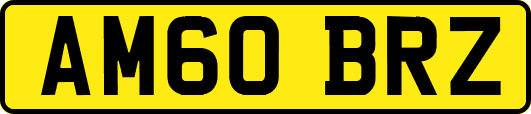AM60BRZ