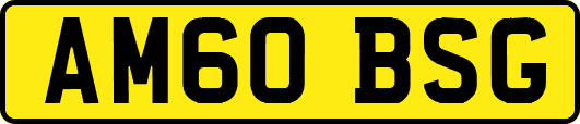 AM60BSG