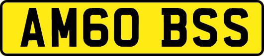 AM60BSS