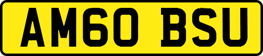 AM60BSU