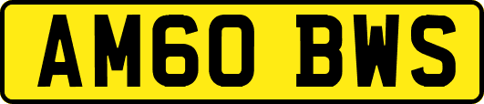 AM60BWS